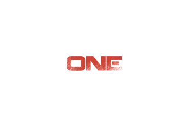 V One Racing